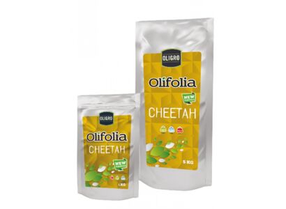 olifolia-cheetah-16-16-16--te.jpg