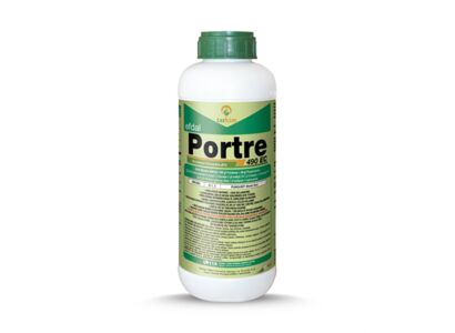 portre-490ec-1-lt.jpg