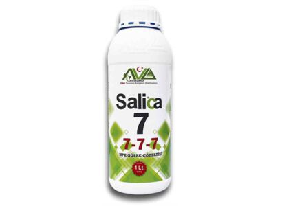 salica-7-1-lt.jpg