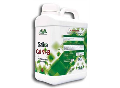 salica-cal-9-b-5-lt.jpg