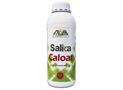salica-caloat-1-lt.jpg