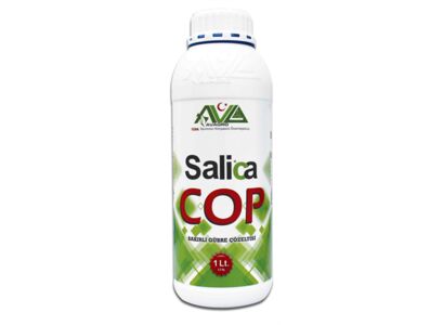 salica-cop-1-lt.jpg