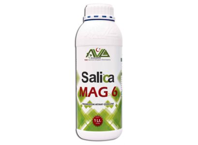 salica-mag6-1-lt.jpg