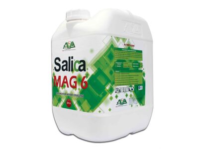 salica-mag6-20-lt.jpg