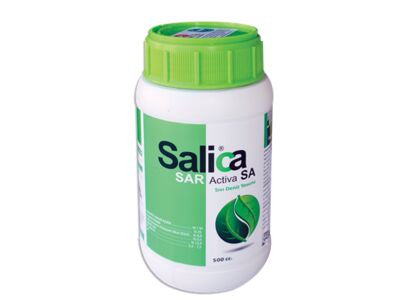 salica-sar-activa.jpg